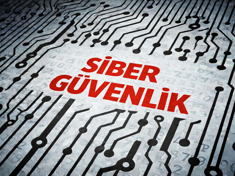 Siber Güvenlik (Firewall, VPN, Segmentasyon)